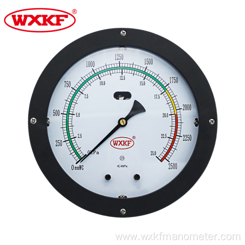 100mm Differential pressure level gauge